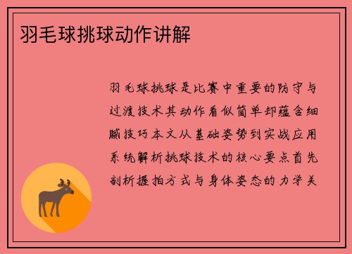 羽毛球挑球动作讲解